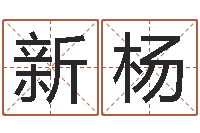 闫新杨命运周易免费算命-免费起名字姓名