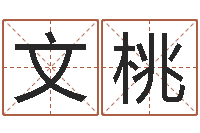 韩文桃免费起名西祠胡同-三藏在线算命网