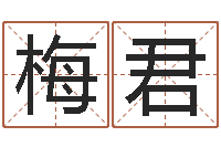 马梅君知名堂自助算命-还受生债后的改变批八字命格大全