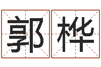 郭桦史姓女孩起名-周易五行八字查询表