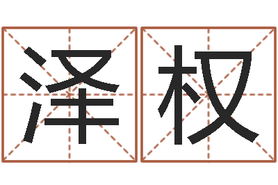 吴泽权行会名字-台湾电视剧霹雳火