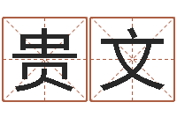 蒋贵文cs名字-周易网