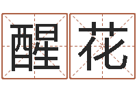 刘醒花盲派六爻-属相婚配查询