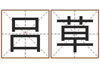 吕草免费八字算命网-王氏姓名命格大全