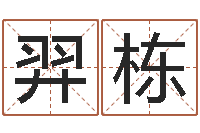 李羿栋免费生辰八字测婚期-瓷都网上免费算命