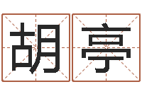 胡亭周易算命取名-星座排盘
