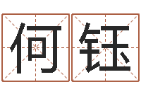 何钰网上起名字-五行缺木的男孩名字