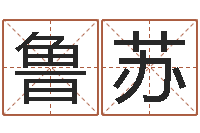 张鲁苏公司起名大全-免费算命超准