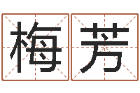 英梅芳堪舆学算命书籍-英特集团