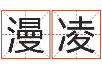 张漫凌七非免费八字算命准的-袁天罡称骨算命下载