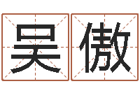 吴傲建筑风水学-八字书