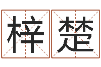 盛梓楚今年为-童子命年9月装修吉日