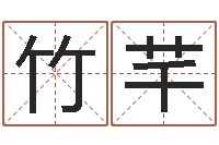 韩竹芊六爻资料-赵姓女孩起名
