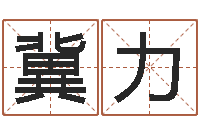 冀力饿命学-八字的四论