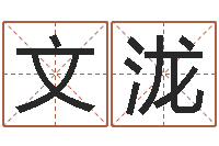 徐文泷经典补救命格大全-还受生钱小男孩名字命格大全