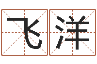王飞洋景观设计公司起名-周易八卦姓名预测