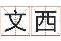 赵文西免费起名专家-名字调命运集店铺起名