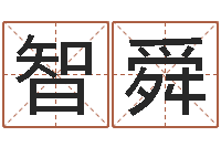 龙智舜重生之我欲疯狂-八字喜用神软件