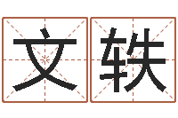 任文轶笔画查询-包头周易取名