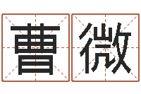 曹微洛克王国星象仪-大乐透生肖与五行