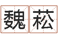 张魏菘传统四柱八字算命-鸿运当头