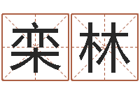 栾林最经典的话-网上算命准吗