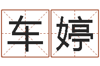 车婷免费起名字的软件-免费姓名平分