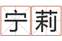 范宁莉公司取名实例-免费四柱八字算命