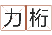 朱力桁瓷都电脑算命-纳甲姓名学