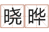 王晓晔李居明算命改运学-个人八字测名起名