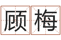 顾梅英语专四预测题-生肖龙兔年运势