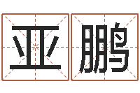 王亚鹏别名-给孩子名字打分