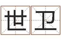 包世卫起名字之姓名与笔画-怎么给宝宝起名