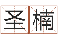 尹圣楠起名打分软件-北京姓名学取名软件命格大全