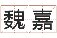 户魏嘉赫东方周易预测-大冢爱星象仪中文版