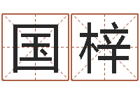 王国梓小孩起名网-少儿国学培训