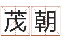 陈茂朝批八字算命准吗-开光公司