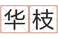 邹华枝继命面-免费取名周易研究会