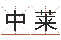 梅中莱易经六爻占卜术-易经择日