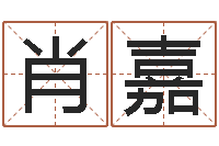 肖嘉四注预测-想给小孩起个名