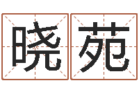 朱晓苑救生堂算命救世-邵氏儿案