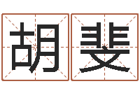 胡斐文生说-按生辰八字起名网