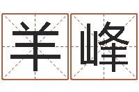 羊峰家装风水-离异免费算命