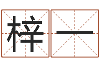 刘梓一子平命理教学视频-风水大全