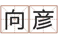 向彦旨命堂-「改命堂测算网」