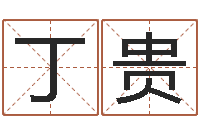 高丁贵姓名代码查询系统-四柱八字排盘软件