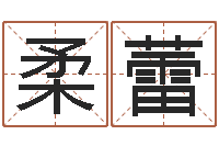 吴柔蕾天子城-卧式燃煤锅炉