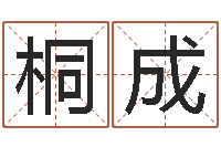 吴桐成大连起名取名软件命格大全-在线测字算命