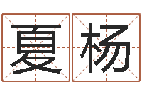 夏杨救命巡-四个字好听的网名