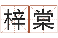 彭梓棠个性姓名签名-龙与什么属相相配